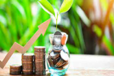 FDs For Senior Citizens: Up To 8.05% Interest In A Limited-Time Offer From Top Banks – Check Details