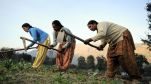 PM Kisan Yojana