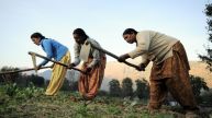 PM Kisan Yojana