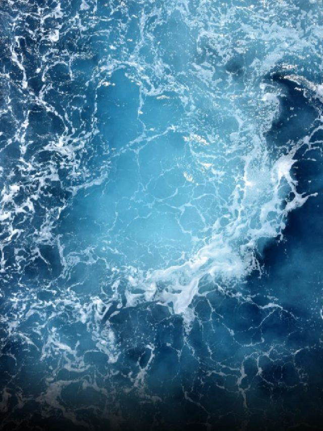 Think You Know The Ocean? 5 Myths That’ll Blow Your Mind This World Ocean Day