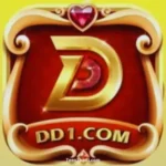 DD1 Game